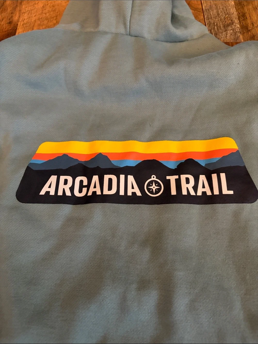 Arcadia Dog Hooded Sweatshirt in Sage Blue-Green with Mountain Logo